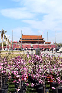 Der Platz des Himmlischen Friedens in Beijing.