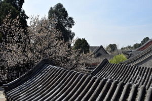 Dächer einer alten chinesischen Stadt im Frühling.