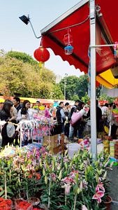 Riesiger Blumenmakrt, der jedes Jahr zum Chinesischen Neujahrsfest aufgebaut wird.